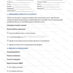 Yksinkertainen versio — sivu 1