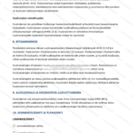 Pitkä versio — sivu 4