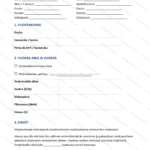 Yksinkertainen versio — sivu 1
