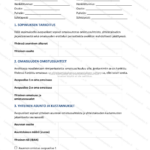 Yksinkertainen versio — sivu 1