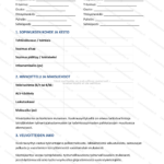 Yksinkertainen versio — sivu 1