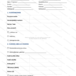 Yksinkertainen versio — sivu 1