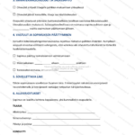 Yksinkertainen versio — sivu 2