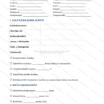 Yksinkertainen versio — sivu 1