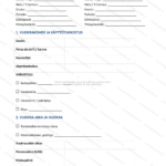 Yksinkertainen versio — sivu 1