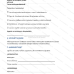Yksinkertainen versio — sivu 3