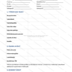 Yksinkertainen versio — sivu 1