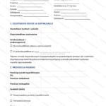 Yksinkertainen versio — sivu 1