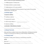 Yksinkertainen versio — sivu 2