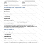 Yksinkertainen versio — sivu 1