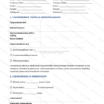 Yksinkertainen versio — sivu 1