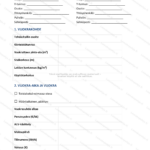Yksinkertainen versio — sivu 1