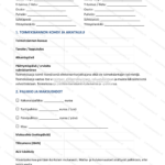 Yksinkertainen versio — sivu 1