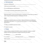 Pitkä versio — sivu 2