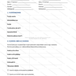 Yksinkertainen versio — sivu 1