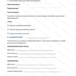 Yksinkertainen versio — sivu 2