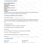 Yksinkertainen versio — sivu 2