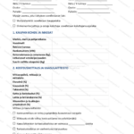 Yksinkertainen versio — sivu 1