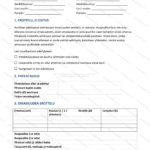 Yksinkertainen versio — sivu 1