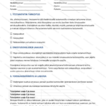 Yksinkertainen versio — sivu 1