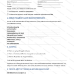 Yksinkertainen versio — sivu 1