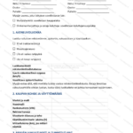 Yksinkertainen versio — sivu 1